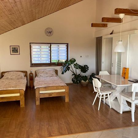Apartman V Podhuri Jizerskych Hor Zelezny Brod エクステリア 写真